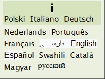 Riouwkunflago.JPG